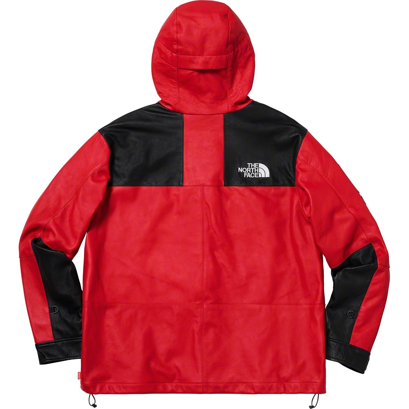 Supreme®/The North Face® Leather Mountain Parka view 11